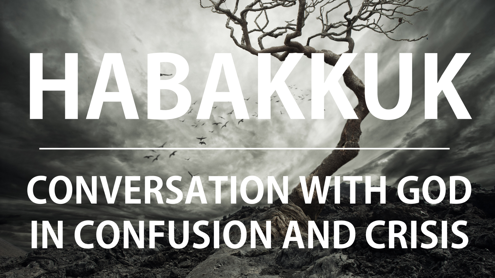 Habakkuk: Conversation with God in Confusion and Crisis