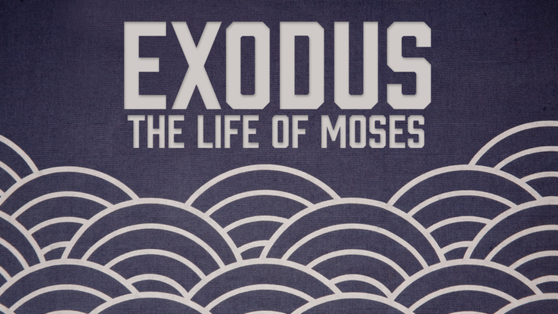 Exodus: The Life of Moses