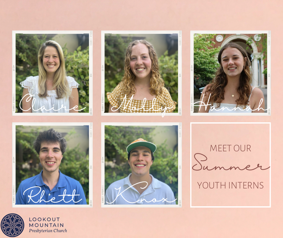 Meet Our 2023 Summer Youth Interns